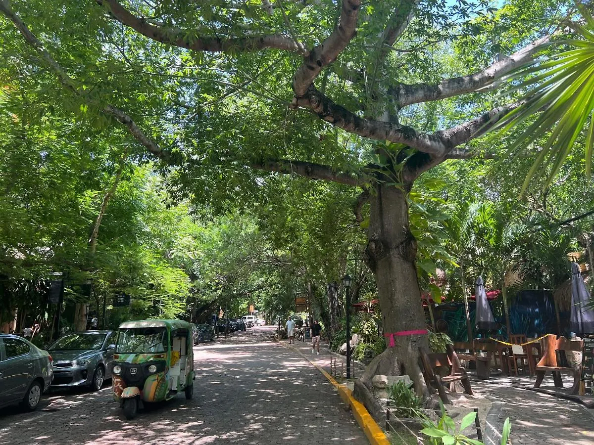 Moderno Departamento Cerca De La Playa Y La 5 Ave Lägenhet Playa del Carmen