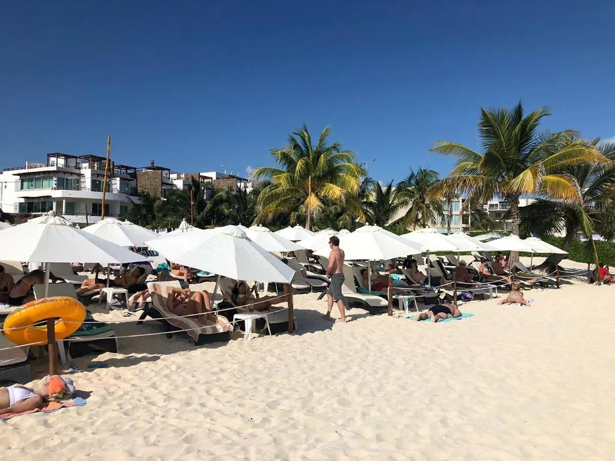 Moderno Departamento Cerca De La Playa Y La 5 Ave Lägenhet Playa del Carmen Mexiko
